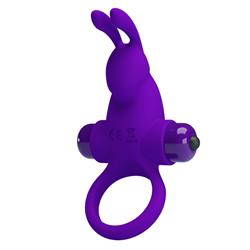 Vibrating Rabbit Cock Ring Purple cl80