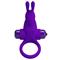 Vibrating Rabbit Cock Ring Purple cl80