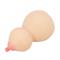 Calabash Breast Shaped Masturbator cl20