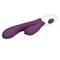 Vibrator Andre 30 functions Purple Cl 55