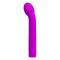 Logan Vibrator Purple Silicone Clave 60