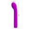 Logan Vibrator Purple Silicone Clave 60