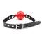 Locking Ball Gags Black/Red