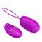 Vibrating Egg Jessica USB Purple