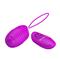 Vibrating Egg Jessica USB Purple