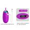 Vibrating Egg Jessica USB Purple