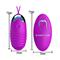 Vibrating Egg Jessica USB Purple