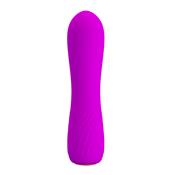 Estimulador Beau USB Purpura