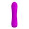 Pretty Love Beau Vibrator USB Silicone Purple