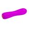 Pretty Love Beau Vibrator USB Silicone Purple