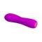 Vire Adam USB Silicone Purple