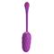 Pretty Love Marina Vibrating Egg USB Clave 40