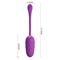 Pretty Love Marina Vibrating Egg USB Clave 40